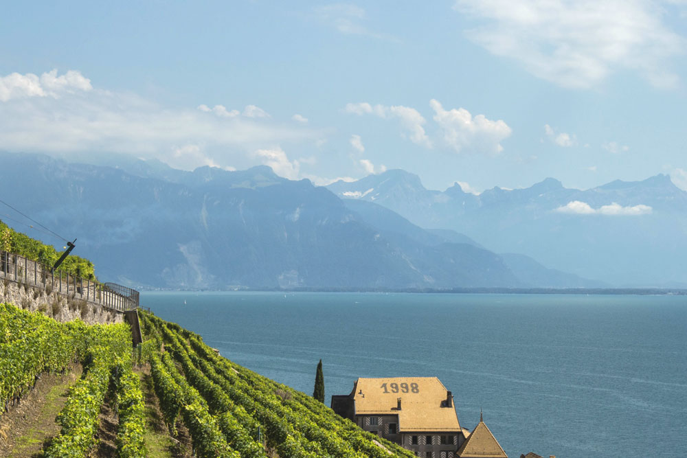 Lavaux